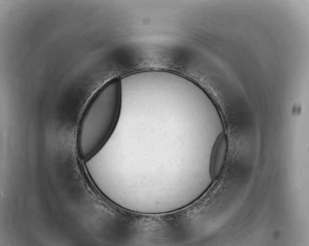 X0000100200386200805300752