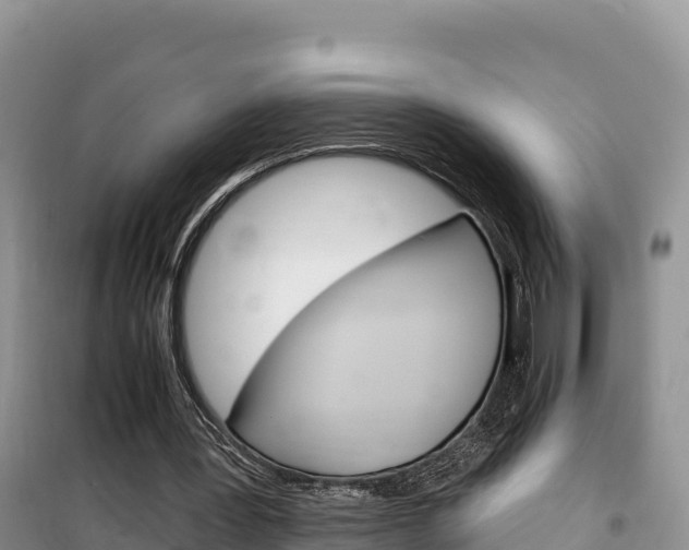 X0000100200387200805300752