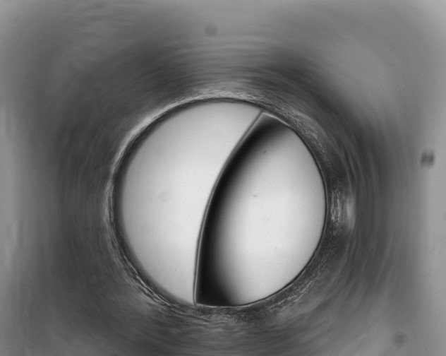 X0000100200388200805300752