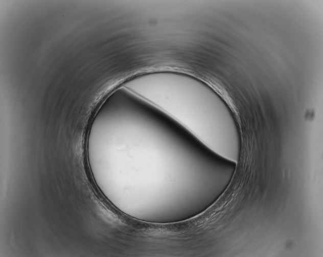 X0000100200389200805300751