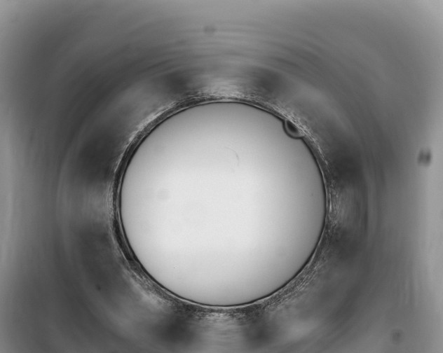 X0000100200390200805300751
