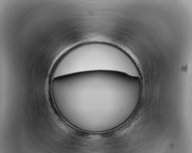 X0000100200391200805300751