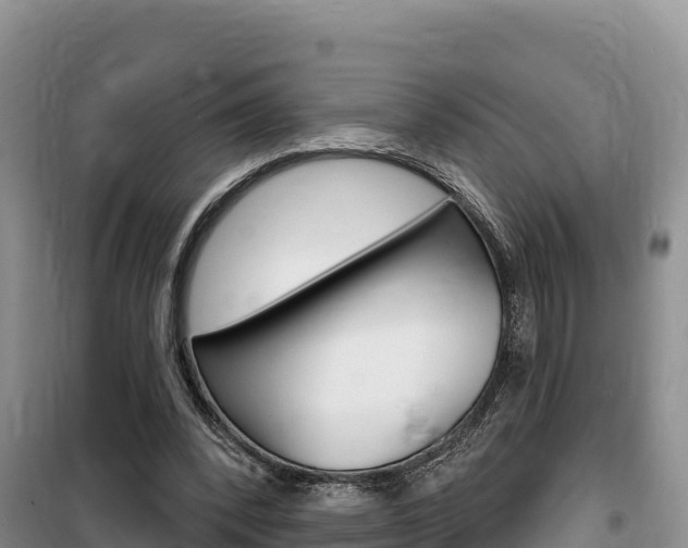 X0000100200392200805300751