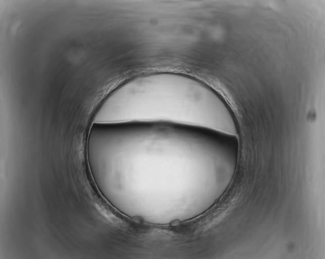 X0000100200393200805300751