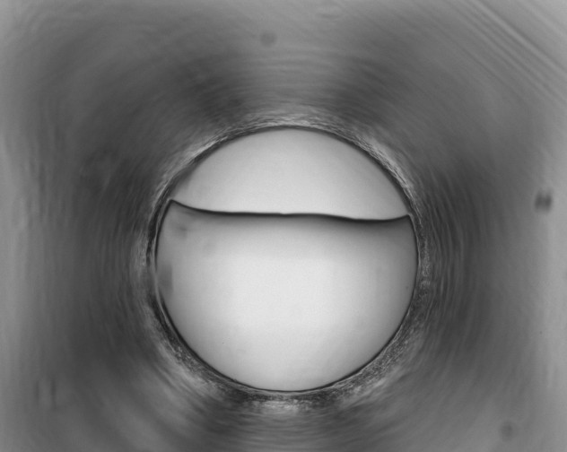 X0000100200394200805300751