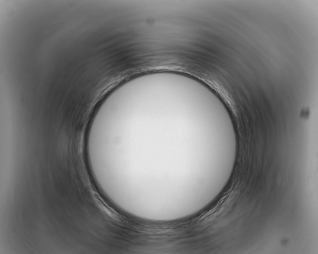 X0000100200397200805300751