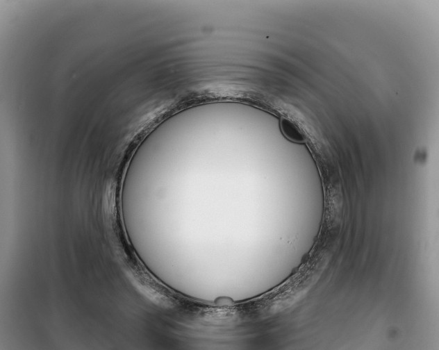X0000100200398200805300751