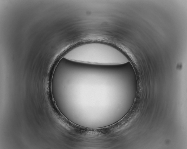 X0000100200399200805300751