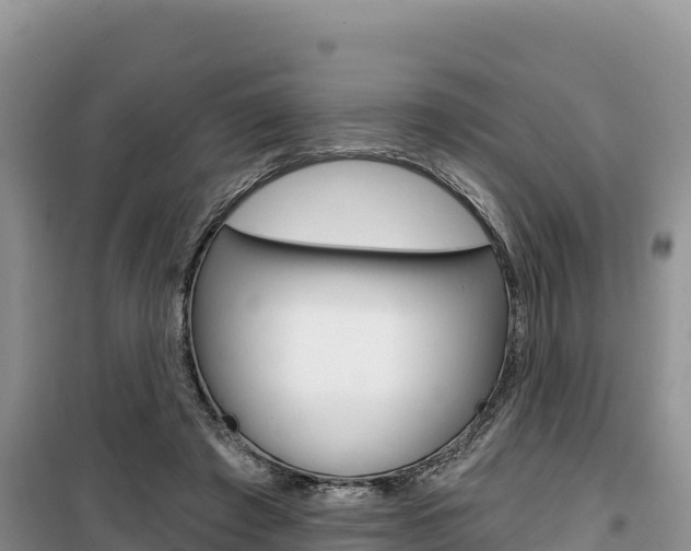 X0000100200401200805300751