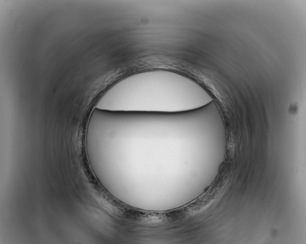 X0000100200402200805300751