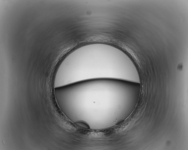 X0000100200403200805300751