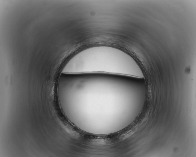 X0000100200404200805300751