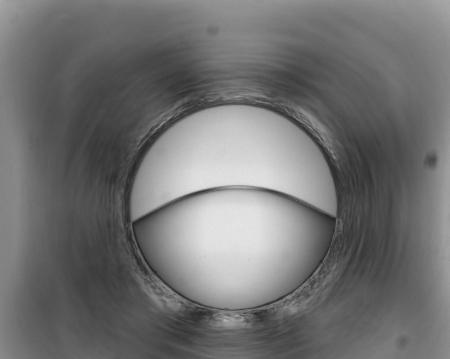 X0000100200405200805300751