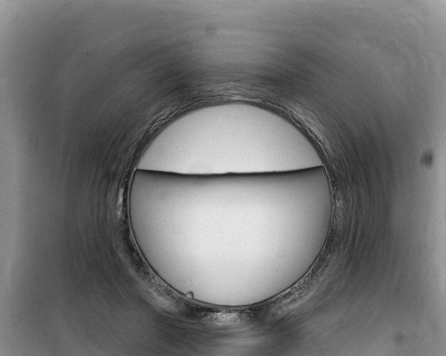 X0000100200406200805300751