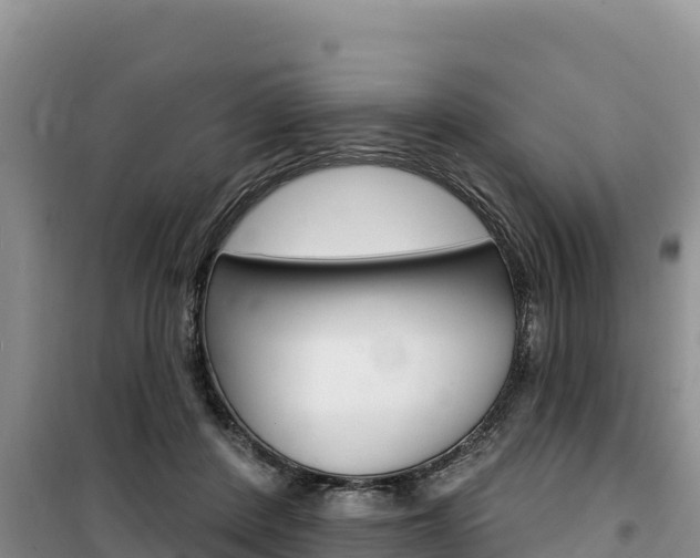 X0000100200408200805300751