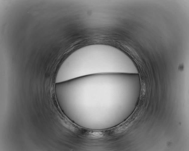 X0000100200409200805300751