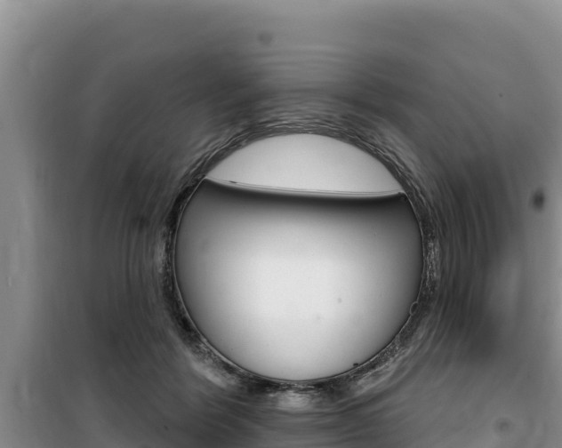 X0000100200412200805300751