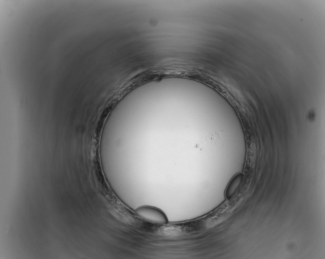 X0000100200413200805300751