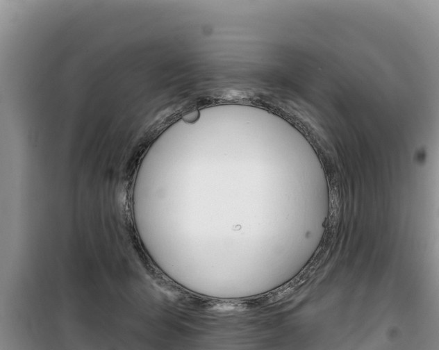X0000100200415200805300751