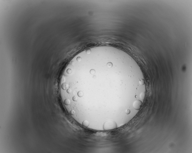 X0000100200418200805300751