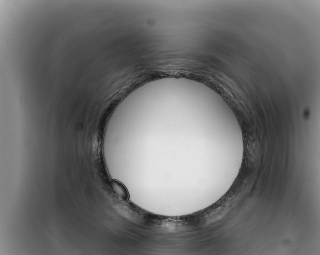 X0000100200420200805300751