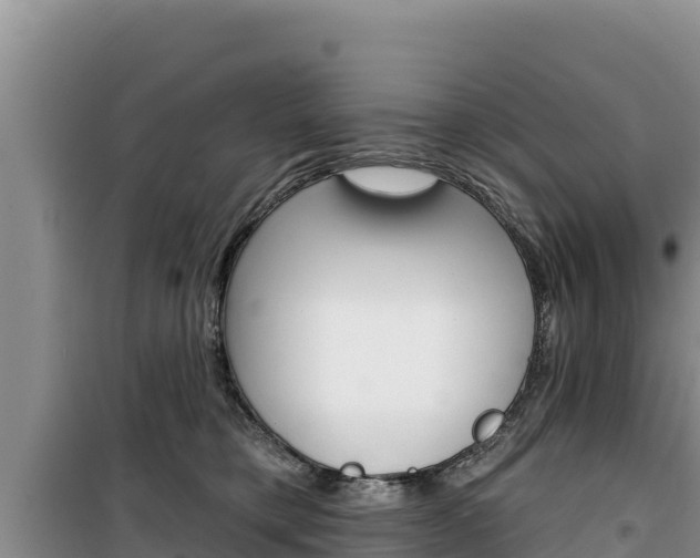 X0000100200421200805300751