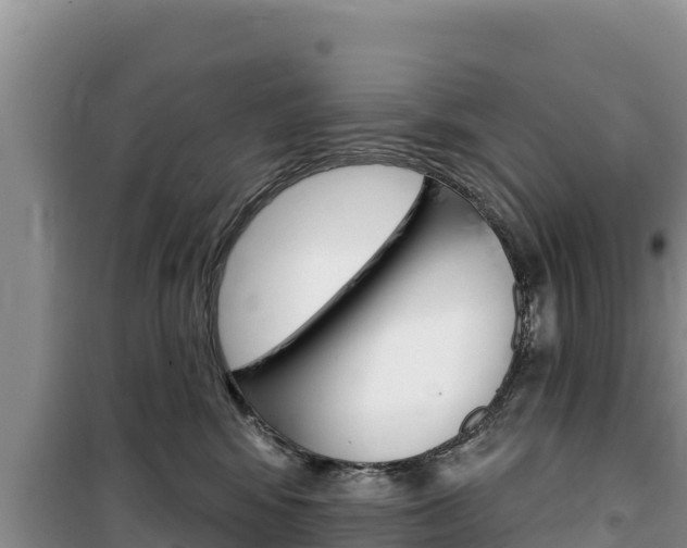 X0000100200424200805300751