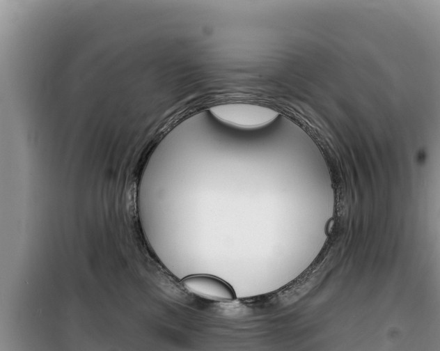 X0000100200425200805300751