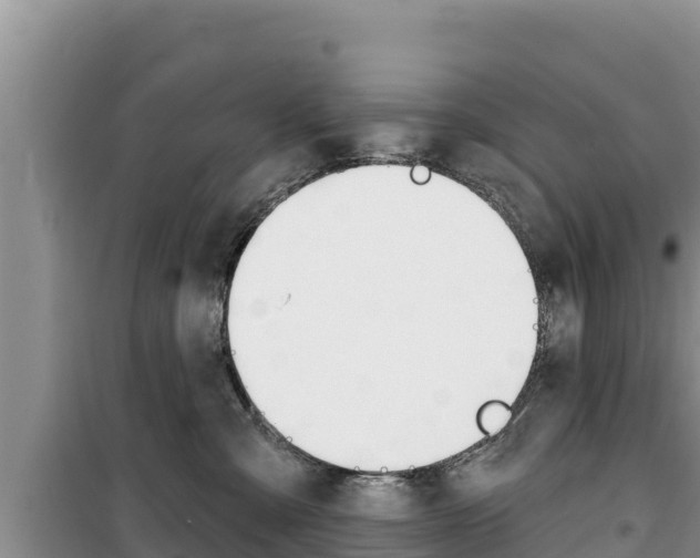 X0000100200427200805300751