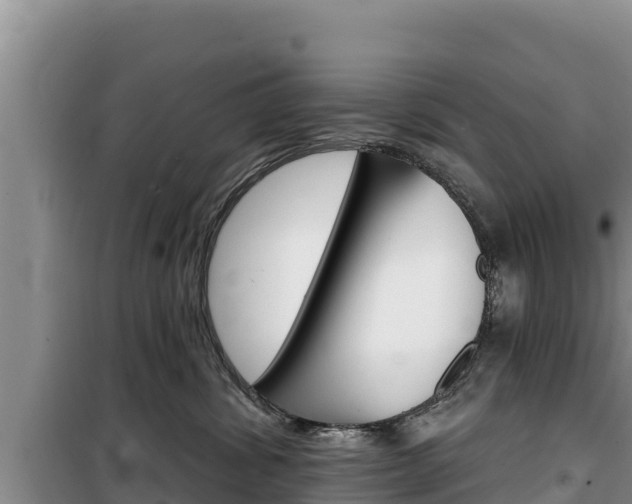 X0000100200428200805300751