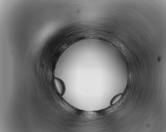 X0000100200429200805300751