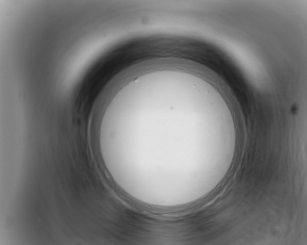 X0000100200431200805300751