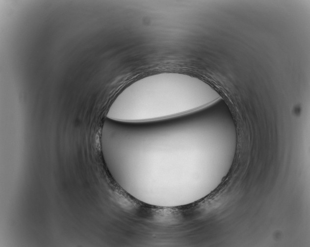 X0000100200432200805300751