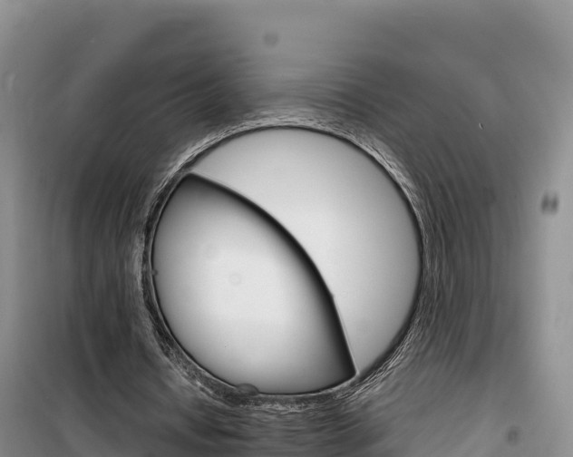 X0000100200434200805300750