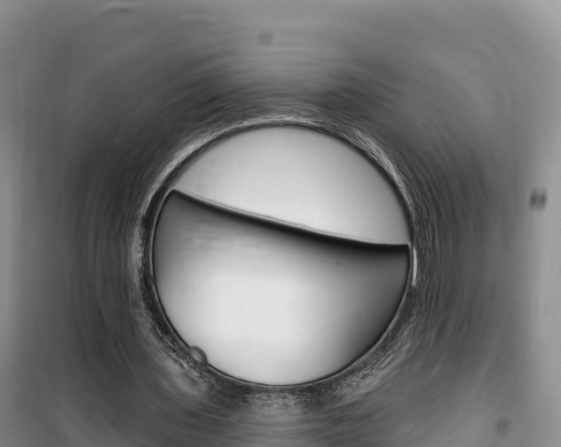 X0000100200435200805300750