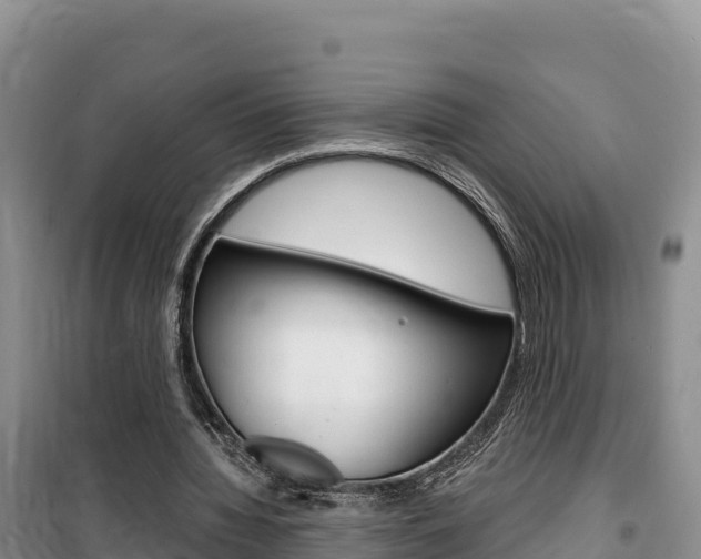 X0000100200436200805300750
