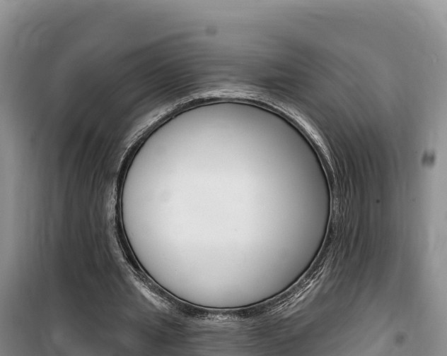 X0000100200437200805300750