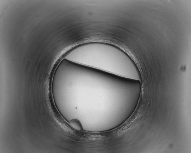 X0000100200438200805300750