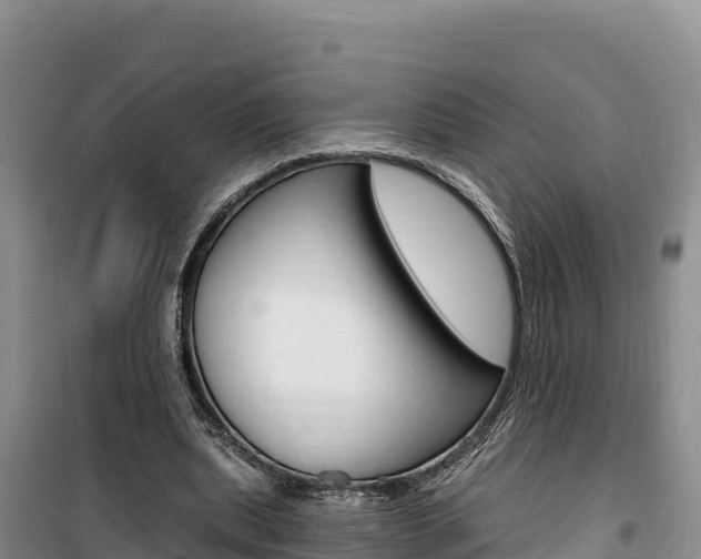 X0000100200439200805300750