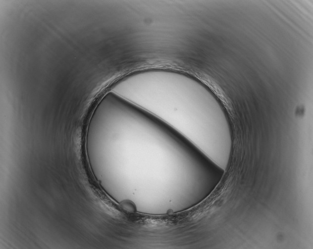 X0000100200442200805300750