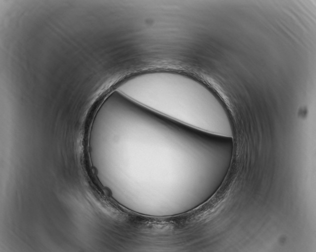 X0000100200443200805300750