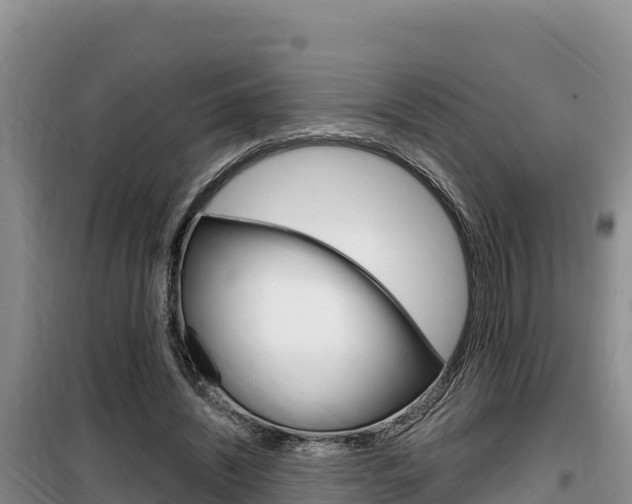 X0000100200444200805300750
