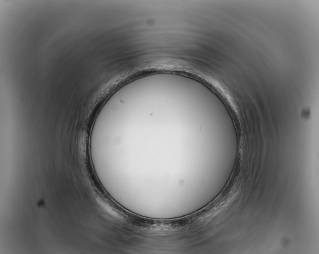 X0000100200445200805300750