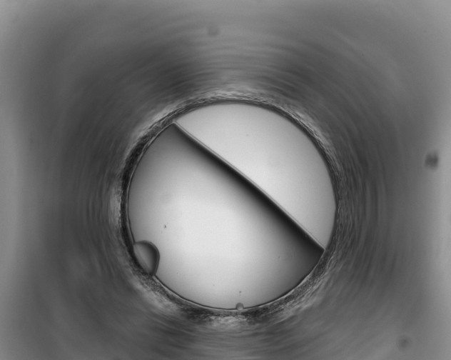 X0000100200446200805300751