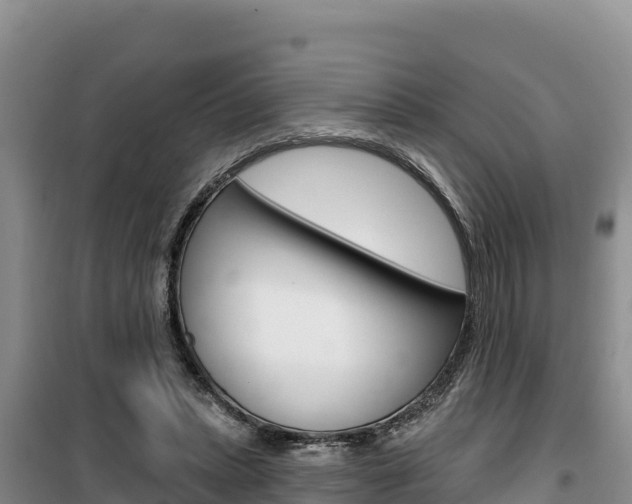 X0000100200447200805300751