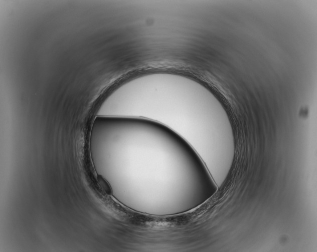 X0000100200448200805300751