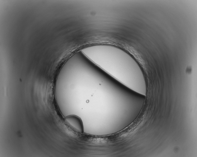X0000100200449200805300751