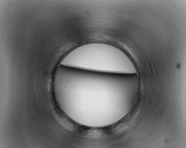X0000100200451200805300751