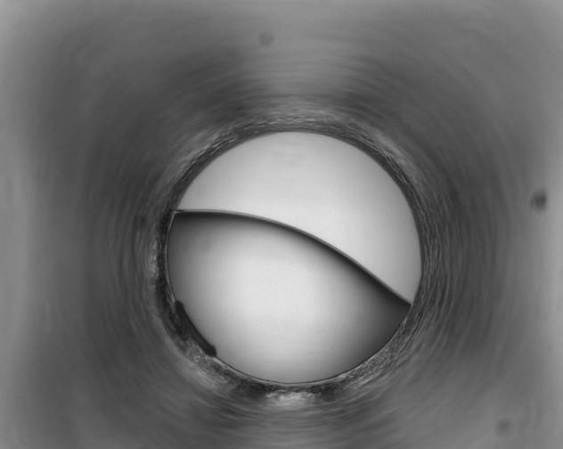X0000100200452200805300751