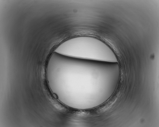 X0000100200453200805300751
